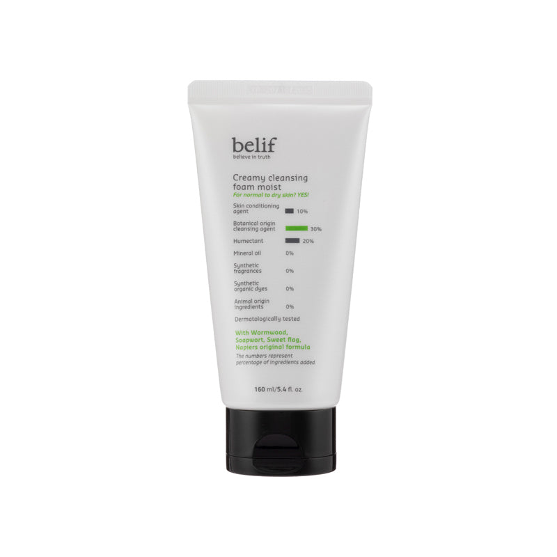 Belief Creamy Cleansing Foam Moist 160ML | Sasa Global eShop